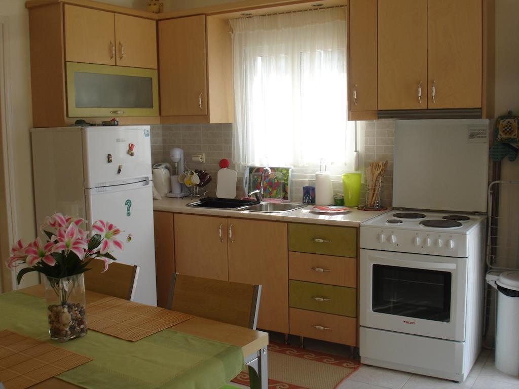 To Ampelaki Apartment Tsoukaládhes Cameră foto